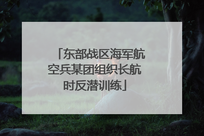 东部战区海军航空兵某团组织长航时反潜训练