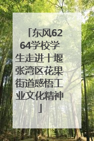 东风6264学校学生走进十堰张湾区花果街道感悟工业文化精神