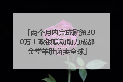 两个月内完成融资300万！政银联动助力成都金堂羊肚菌卖全球