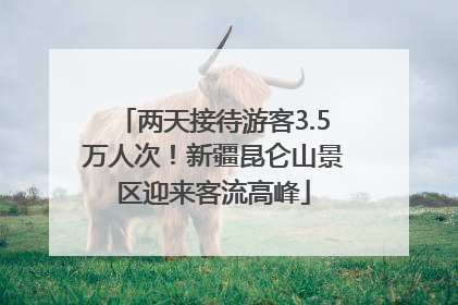 两天接待游客3.5万人次！新疆昆仑山景区迎来客流高峰