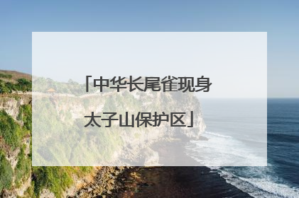 中华长尾雀现身太子山保护区