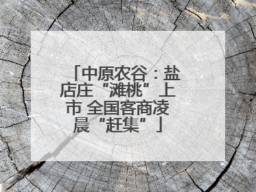 中原农谷：盐店庄“滩桃”上市 全国客商凌晨“赶集”