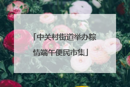 中关村街道举办粽情端午便民市集