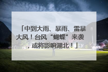 中到大雨、暴雨、雷暴大风！台风“蝴蝶”来袭，或将影响湖北！