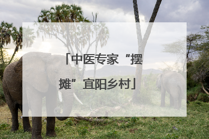 中医专家“摆摊”宜阳乡村