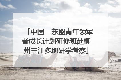 中国—东盟青年领军者成长计划研修班赴柳州三江多地研学考察