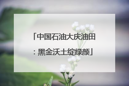 中国石油大庆油田：黑金沃土绽绿颜