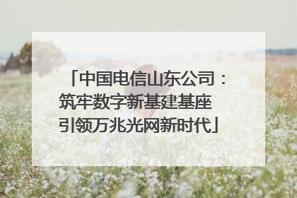 中国电信山东公司：筑牢数字新基建基座 引领万兆光网新时代