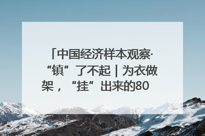 中国经济样本观察·“镇”了不起｜为衣做架，“挂”出来的80亿元“衣架产业”