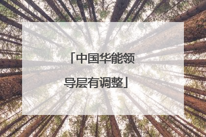 中国华能领导层有调整