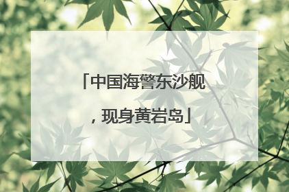 中国海警东沙舰，现身黄岩岛
