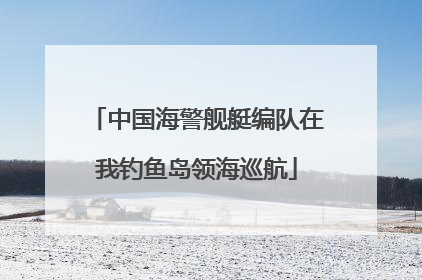 中国海警舰艇编队在我钓鱼岛领海巡航