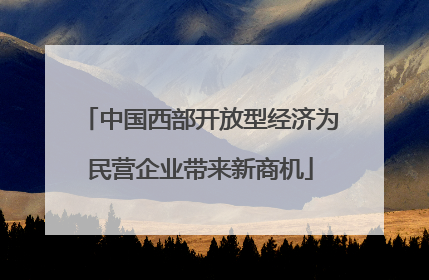 中国西部开放型经济为民营企业带来新商机