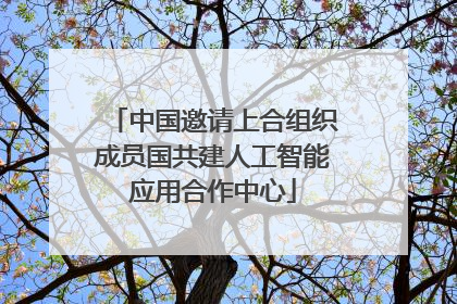 中国邀请上合组织成员国共建人工智能应用合作中心