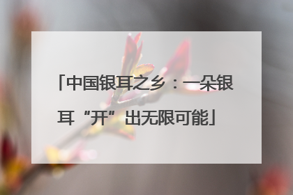 中国银耳之乡：一朵银耳“开”出无限可能
