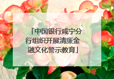 中国银行咸宁分行组织开展清廉金融文化警示教育