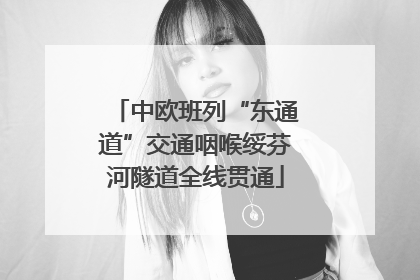 中欧班列“东通道”交通咽喉绥芬河隧道全线贯通