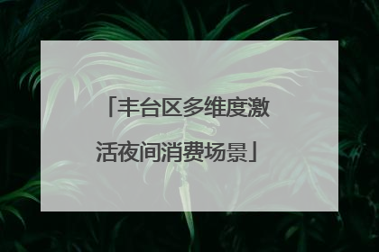 丰台区多维度激活夜间消费场景