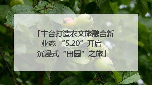 丰台打造农文旅融合新业态 “5.20”开启沉浸式“田园”之旅
