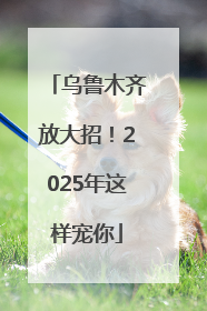 乌鲁木齐放大招！2025年这样宠你