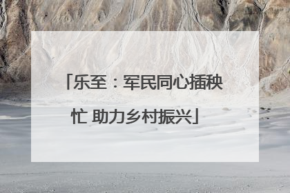乐至：军民同心插秧忙 助力乡村振兴