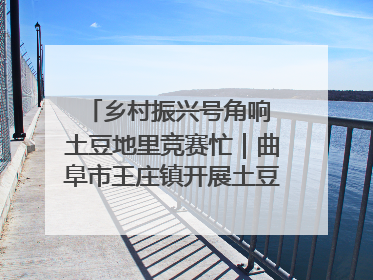 乡村振兴号角响 土豆地里竞赛忙｜曲阜市王庄镇开展土豆收获劳动竞赛
