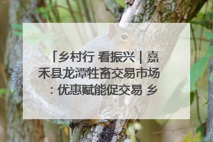 乡村行 看振兴｜嘉禾县龙潭牲畜交易市场：优惠赋能促交易 乡村振兴添动能