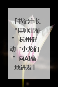 书记市长“挂帅出征” 杭州催动“小龙们”向AI高地进发