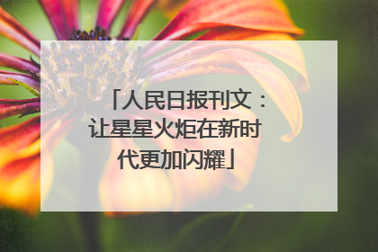 人民日报刊文：让星星火炬在新时代更加闪耀