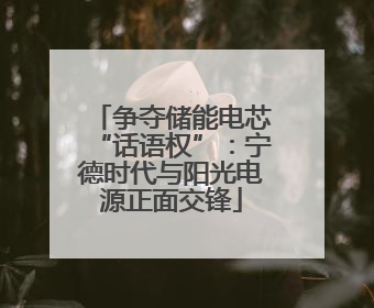 争夺储能电芯“话语权”：宁德时代与阳光电源正面交锋