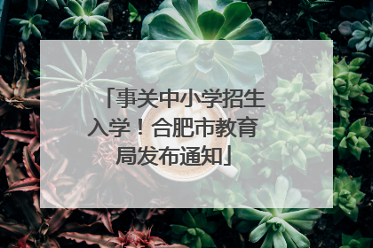 事关中小学招生入学！合肥市教育局发布通知