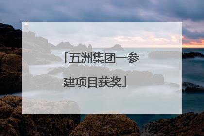 五洲集团一参建项目获奖