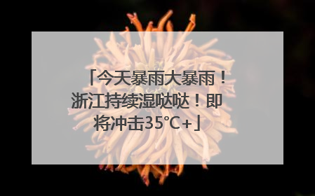 今天暴雨大暴雨！浙江持续湿哒哒！即将冲击35℃+