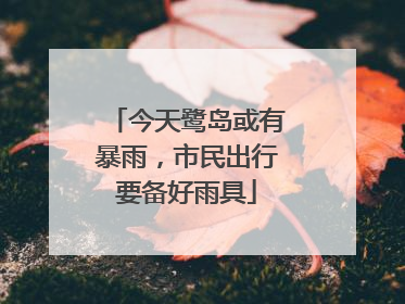 今天鹭岛或有暴雨，市民出行要备好雨具
