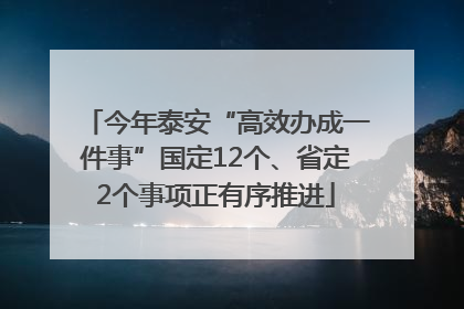 今年泰安“高效办成一件事”国定12个、省定2个事项正有序推进