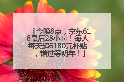 今晚8点，京东618最后28小时！每人每天超6180元补贴，错过等明年！