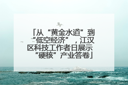 从“黄金水道”到“低空经济”，江汉区科技工作者日展示“硬核”产业答卷