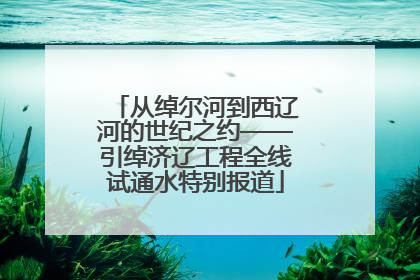 从绰尔河到西辽河的世纪之约——引绰济辽工程全线试通水特别报道