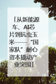 从新能源车、AI芯片到抗虫玉米——“国家队”耐心资本撬动产业突围