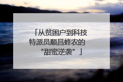 从贫困户到科技特派员顺昌蜂农的“甜蜜逆袭”
