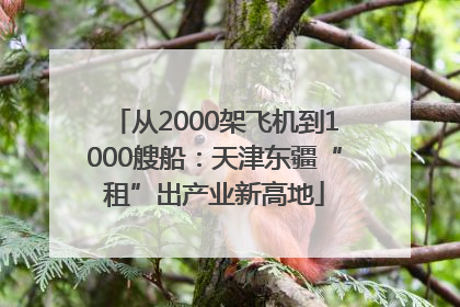 从2000架飞机到1000艘船：天津东疆“租”出产业新高地