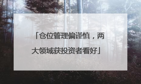仓位管理偏谨慎，两大领域获投资者看好