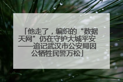 他走了，编织的“数据天网”仍在守护大城平安——追记武汉市公安局因公牺牲民警万松