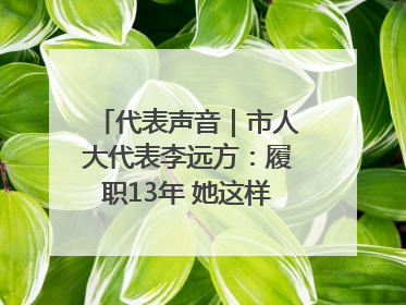 代表声音｜市人大代表李远方：履职13年 她这样“找”建议
