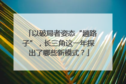 以破局者姿态“趟路子”，长三角这一年探出了哪些新模式？