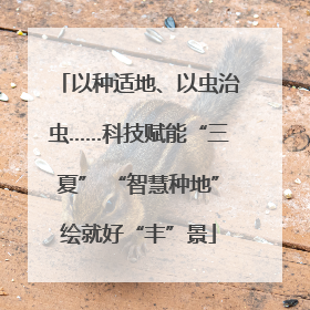以种适地、以虫治虫……科技赋能“三夏” “智慧种地”绘就好“丰”景