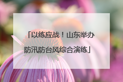 以练应战！山东举办防汛防台风综合演练