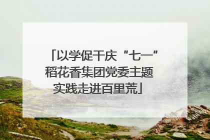 以学促干庆“七一” 稻花香集团党委主题实践走进百里荒
