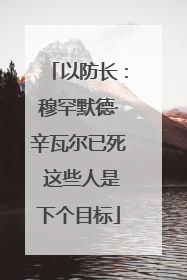以防长：穆罕默德·辛瓦尔已死 这些人是下个目标