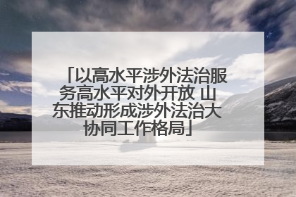 以高水平涉外法治服务高水平对外开放 山东推动形成涉外法治大协同工作格局